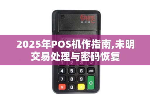 2025年POS机作指南,未明交易处理与密码恢复