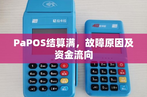 PaPOS结算满，故障原因及资金流向