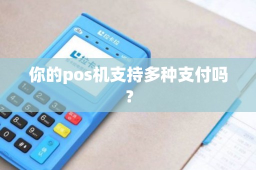 你的pos机支持多种支付吗?