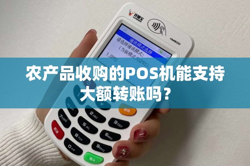 农产品收购的POS机能支持大额转账吗？