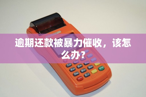 逾期还款被暴力催收，该怎么办？