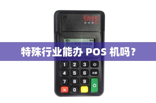特殊行业能办 POS 机吗？
