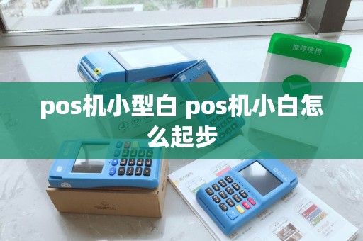 pos机小型白 pos机小白怎么起步