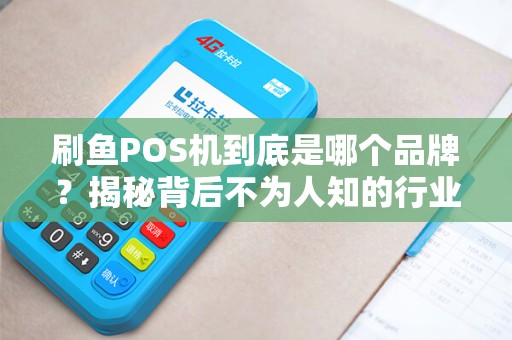 刷鱼POS机到底是哪个品牌？揭秘背后不为人知的行业内幕！