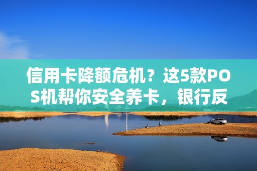 信用卡降额危机？这5款POS机帮你安全养卡，银行反而主动提额！