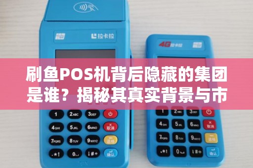刷鱼POS机背后隐藏的集团是谁？揭秘其真实背景与市场布局！
