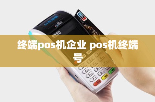 终端pos机企业 pos机终端号