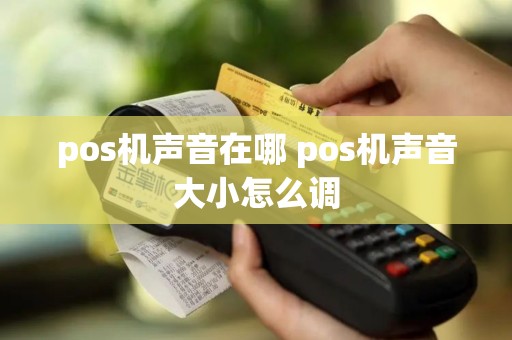 pos机声音在哪 pos机声音大小怎么调