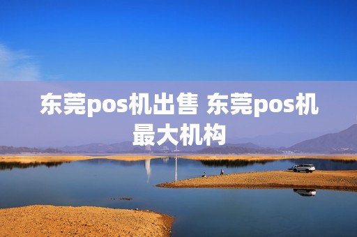东莞pos机出售 东莞pos机最大机构