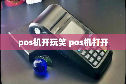 pos机开玩笑 pos机打开