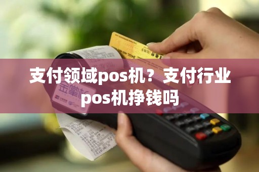 支付领域pos机？支付行业pos机挣钱吗