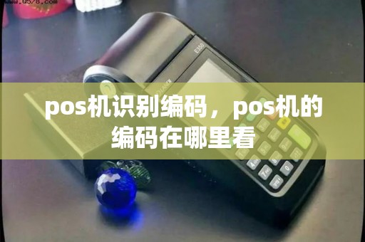 pos机识别编码，pos机的编码在哪里看