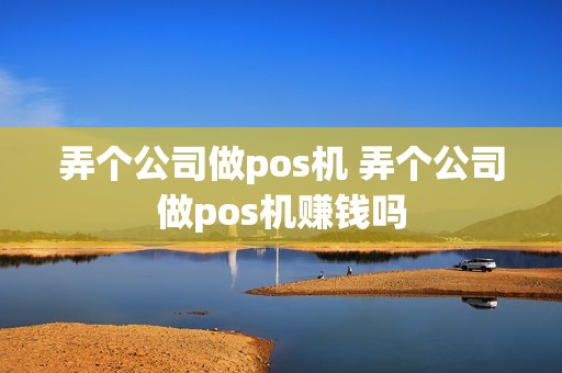 弄个公司做pos机 弄个公司做pos机赚钱吗