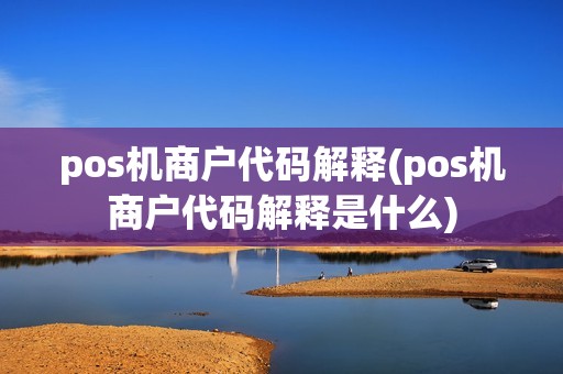 pos机商户代码解释(pos机商户代码解释是什么)