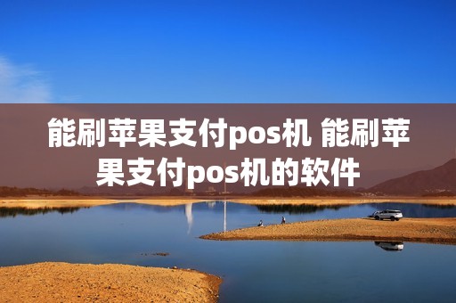能刷苹果支付pos机 能刷苹果支付pos机的软件