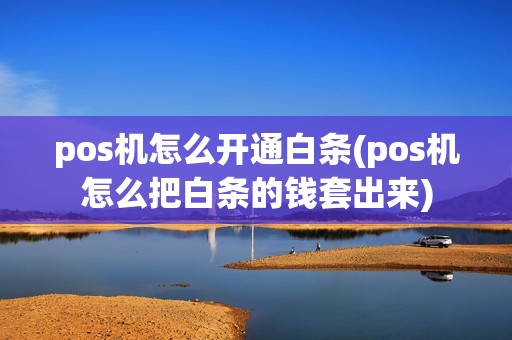pos机怎么开通白条(pos机怎么把白条的钱套出来)