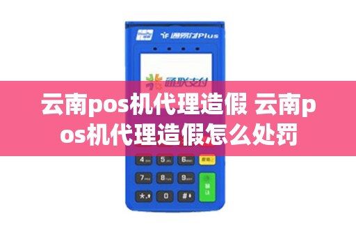 云南pos机代理造假 云南pos机代理造假怎么处罚