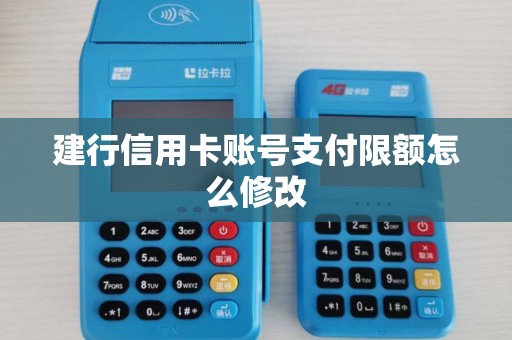 建行信用卡账号支付限额怎么修改