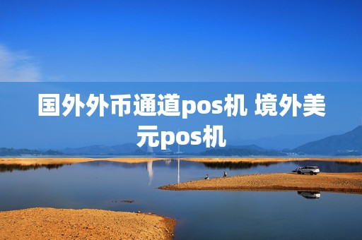 国外外币通道pos机 境外美元pos机
