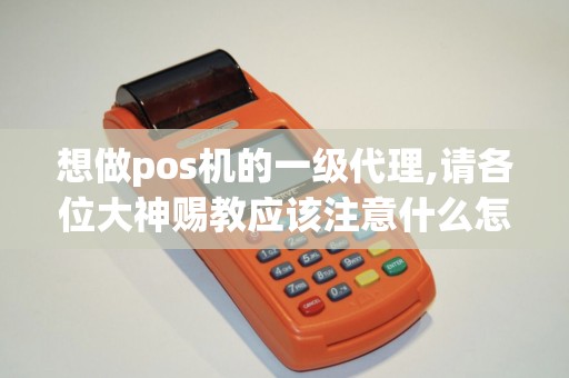 想做pos机的一级代理,请各位大神赐教应该注意什么怎么...