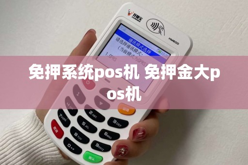 免押系统pos机 免押金大pos机