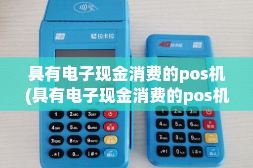 具有电子现金消费的pos机(具有电子现金消费的pos机是什么)
