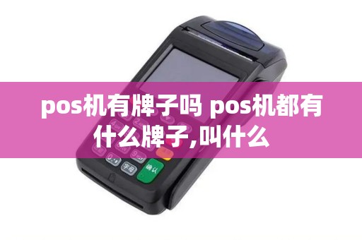 pos机有牌子吗 pos机都有什么牌子,叫什么