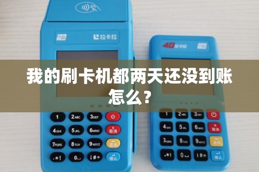 我的刷卡机都两天还没到账怎么？