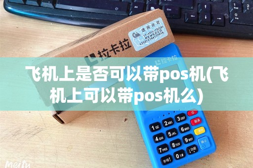 飞机上是否可以带pos机(飞机上可以带pos机么)