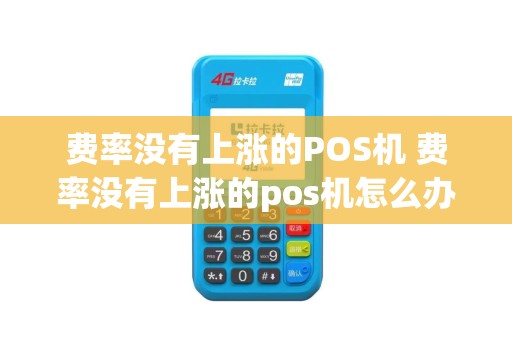 费率没有上涨的POS机 费率没有上涨的pos机怎么办