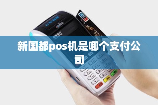 新国都pos机是哪个支付公司