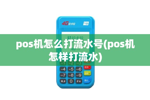 pos机怎么打流水号(pos机怎样打流水)