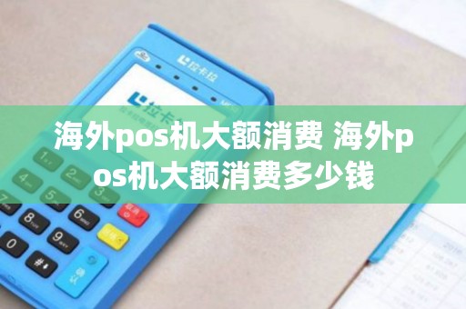 海外pos机大额消费 海外pos机大额消费多少钱