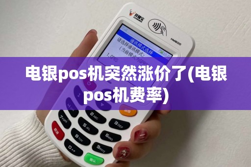 电银pos机突然涨价了(电银pos机费率)