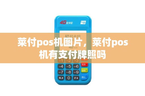 莱付pos机图片，莱付pos机有支付牌照吗