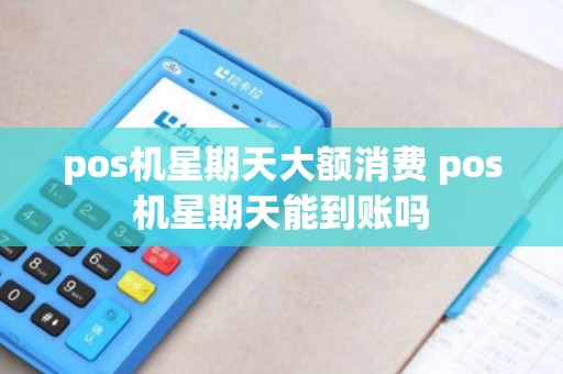 pos机星期天大额消费 pos机星期天能到账吗