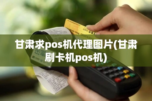 甘肃求pos机代理图片(甘肃刷卡机pos机)