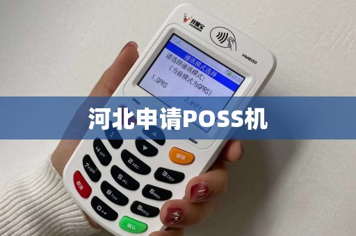 河北申请POSS机