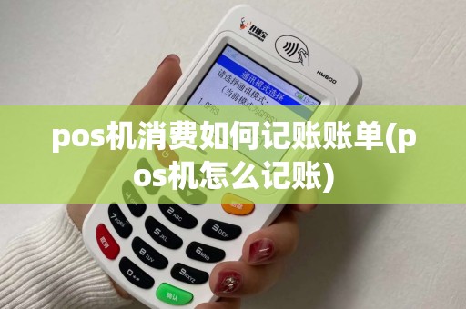 pos机消费如何记账账单(pos机怎么记账)