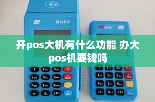 开pos大机有什么功能 办大pos机要钱吗