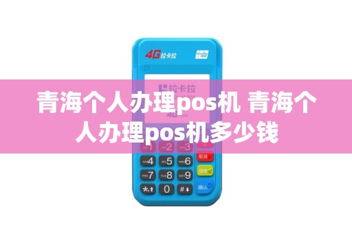 青海个人办理pos机 青海个人办理pos机多少钱