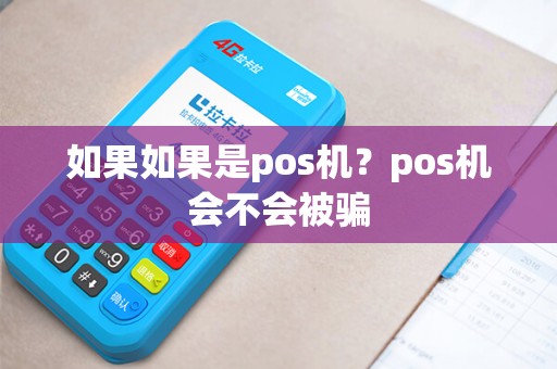 如果如果是pos机？pos机会不会被骗