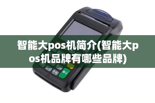 智能大pos机简介(智能大pos机品牌有哪些品牌)