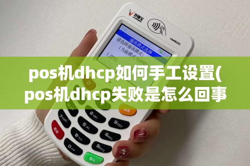 pos机dhcp如何手工设置(pos机dhcp失败是怎么回事)