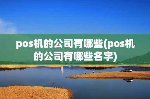 pos机的公司有哪些(pos机的公司有哪些名字)