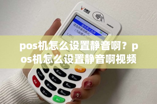 pos机怎么设置静音啊？pos机怎么设置静音啊视频
