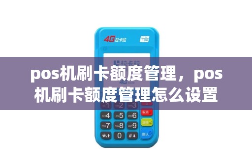 pos机刷卡额度管理，pos机刷卡额度管理怎么设置