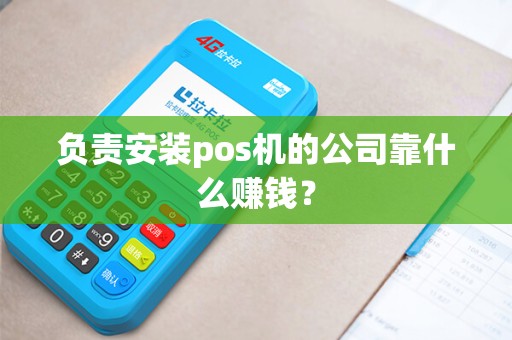 负责安装pos机的公司靠什么赚钱？