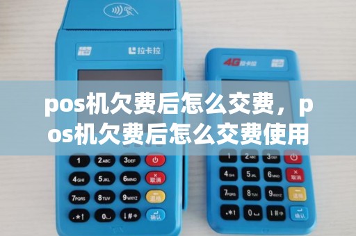 pos机欠费后怎么交费，pos机欠费后怎么交费使用