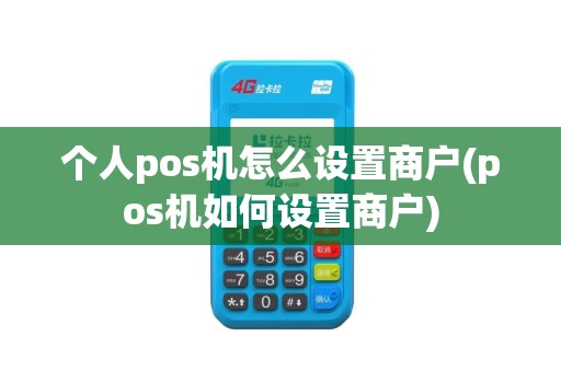 个人pos机怎么设置商户(pos机如何设置商户)